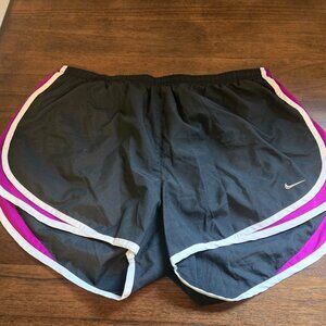 Nike Dri Fit Brief-lined Running Shorts (Sz XL)